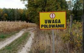 Zdjęcie do Terminy i miejsca polowań zbiorowych na terenie Gminy Gniewino