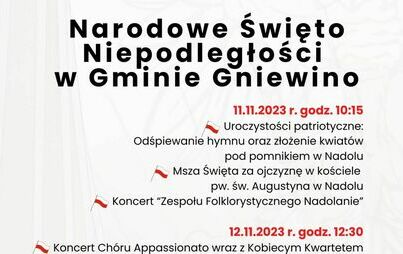 Zdjęcie do Narodowe święto Niepodległości