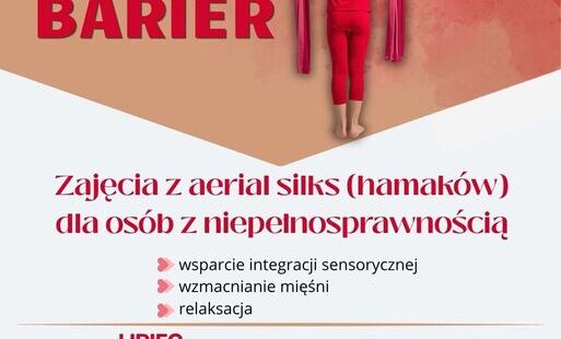 Zdjęcie do Zajęcia ruchowe z elementami aerial silk w Gminie Gniewino